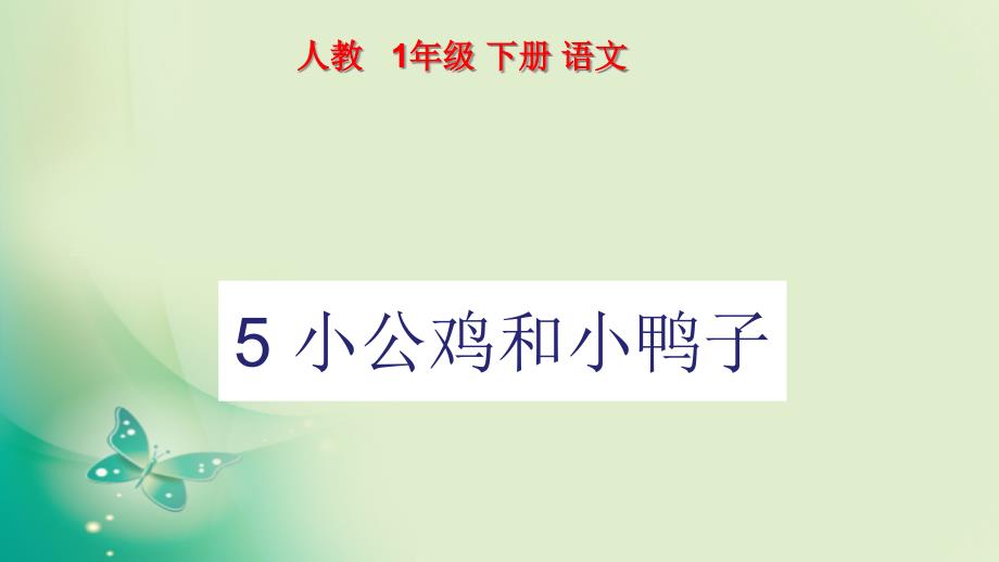 部编人教版语文一年级下册5-小公鸡和小鸭子(市级公开课课件)_第1页