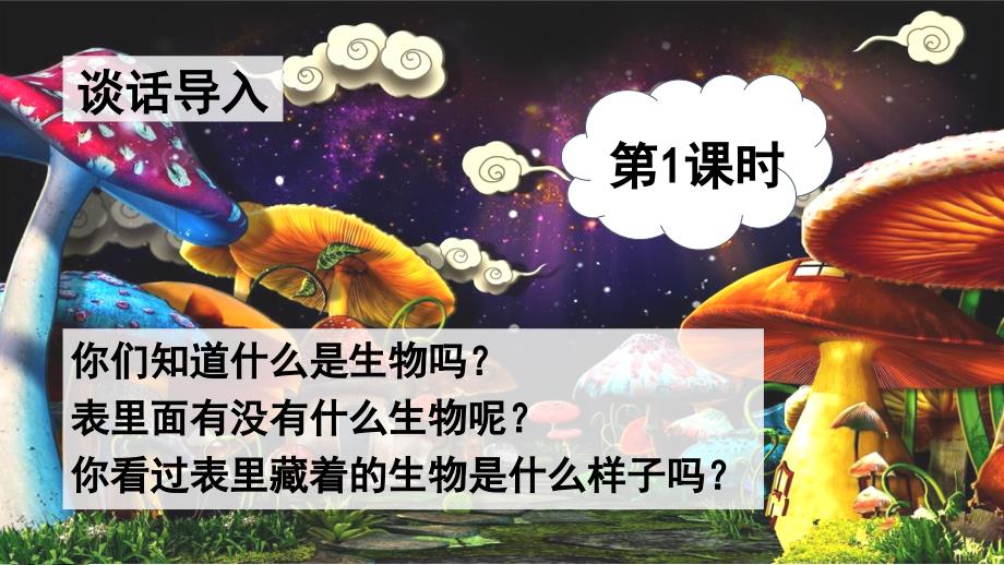 部编版六年级语文下册-表里的生物(内附生字教学)课件_第1页