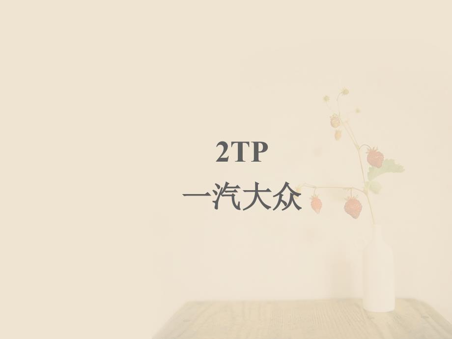 2TP2日试生产_第1页