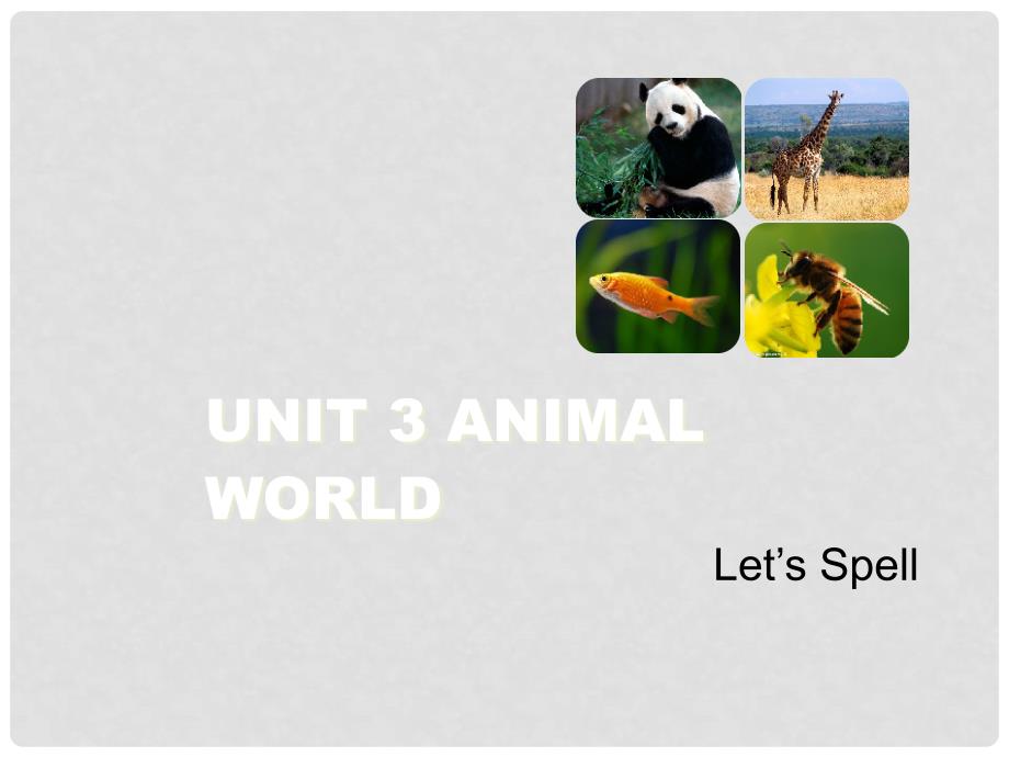 六年级英语上册-Unit-3-Animal-World(Let’s-Spell)课课件_第1页