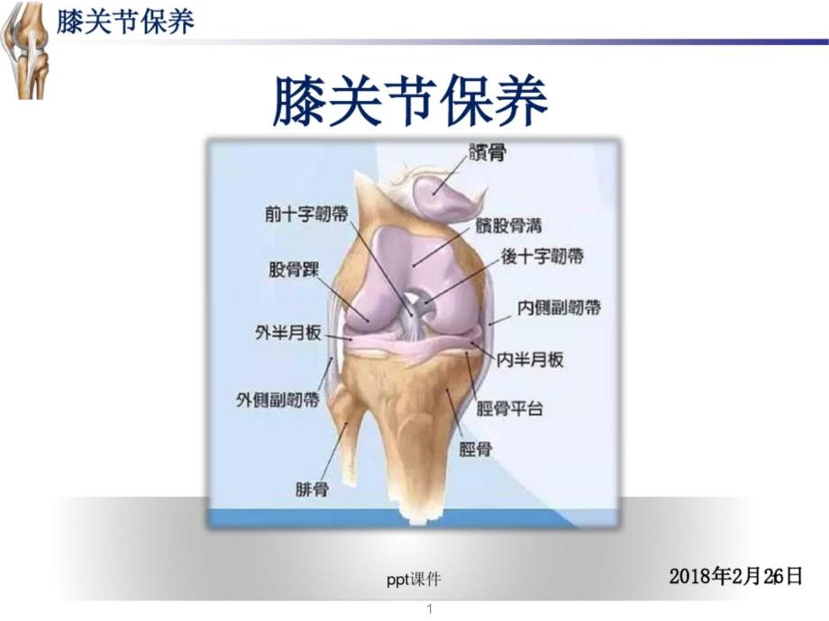 膝关节保养课件_第1页