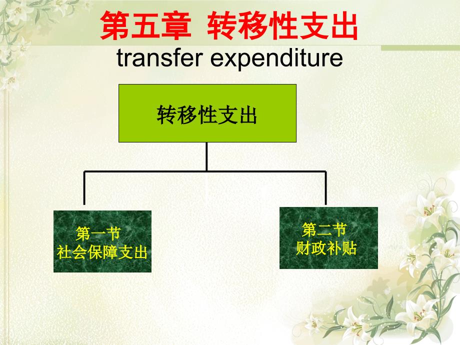 财政学转移性支出_第1页