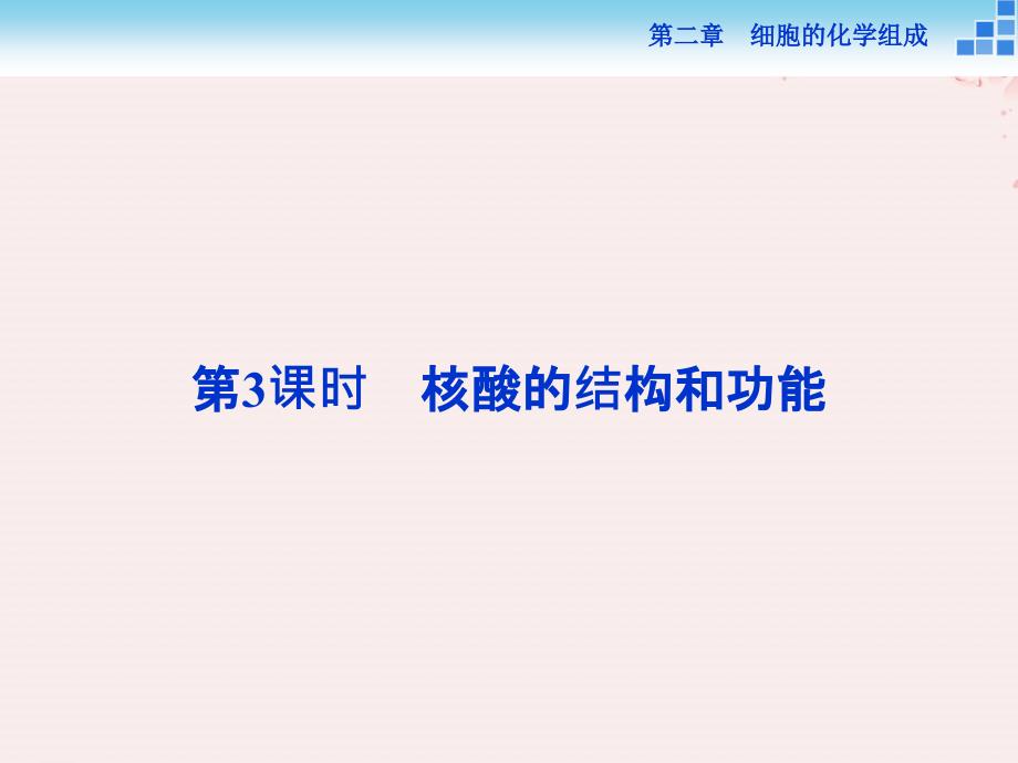 高中生物第二章细胞的化学组成第二节细胞中的生物大分课件_第1页