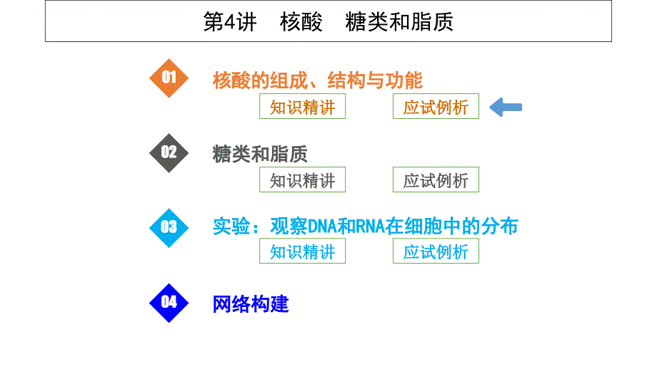 高考生物一轮复习第4讲核酸糖类和脂质ppt课件_第1页