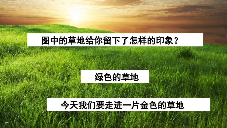 部编版三年级语文上册《金色的草地》教学ppt课件_第1页