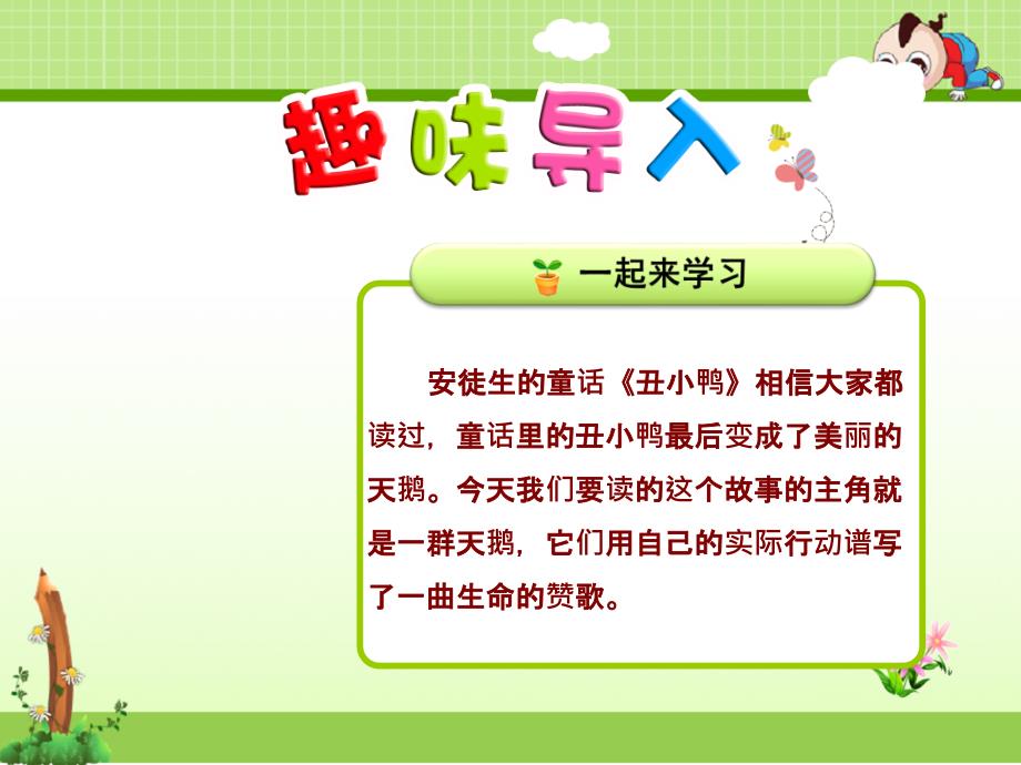 苏教版四年级语文第二学期下册：16课-天鹅的故事课件_第1页