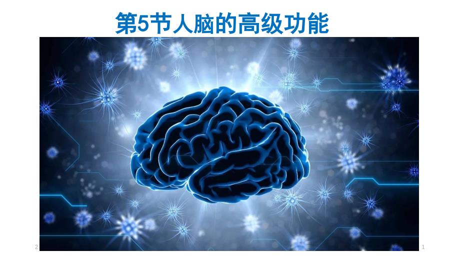 人脑的高级功能ppt课件新教材新人教版高中生物选择性必修一_第1页