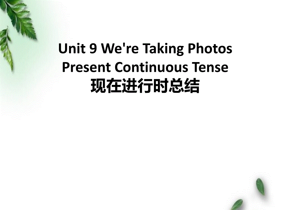 EEC版小学英语四年级下册Unit-9-We-re-Taking-Photos--现在进行时总结课件_第1页