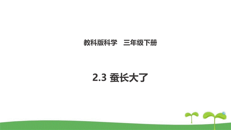 新教科版三下科学2.3-蚕长大了(ppt课件)_第1页