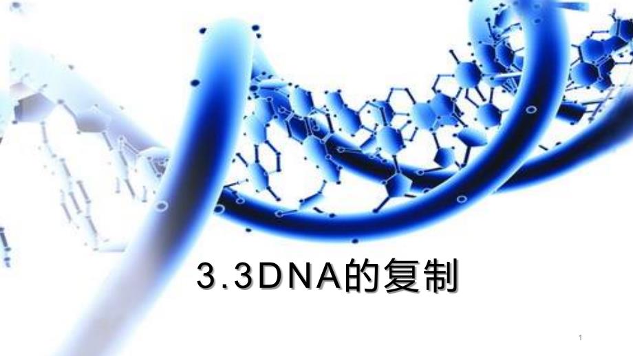 人教版新教材《DNA的复制》ppt课件_第1页