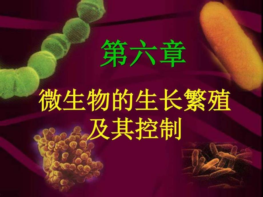 微生物的生长繁殖及其控制14级期末总结用图文_第1页