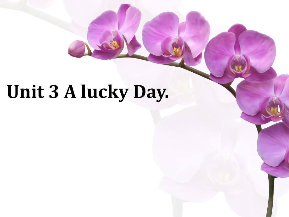 Unit-3-A-lucky-Day-ppt课件1-优质公开课-广东人民三起6下_第1页