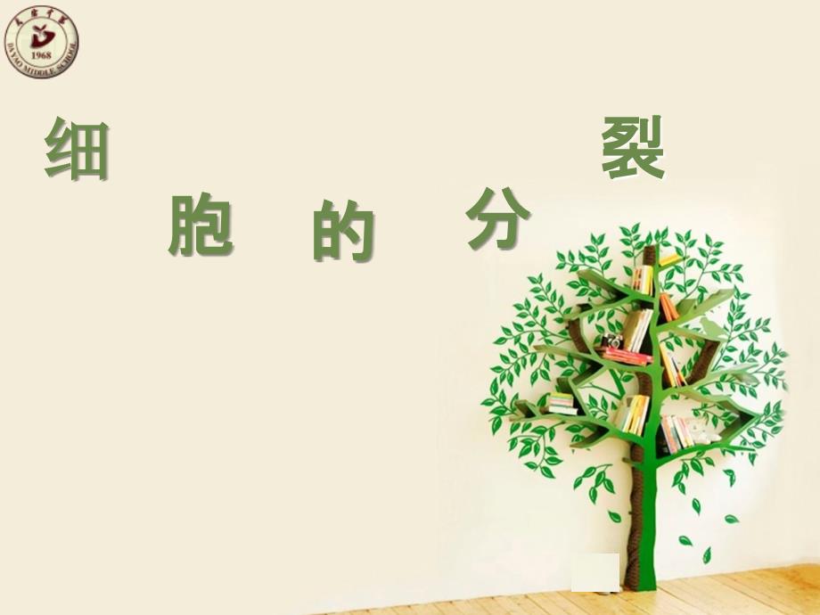 鲁科版生物六年级上册《细胞的分裂》课件_第1页