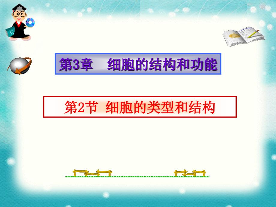 细胞的类型和结构细胞器_第1页