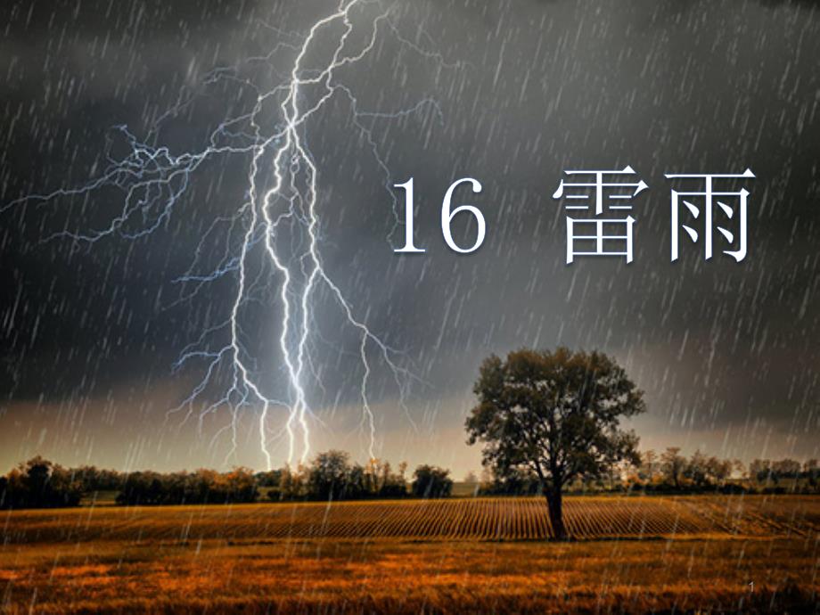 部编新人教版语文二年级下册课件：16雷雨_第1页