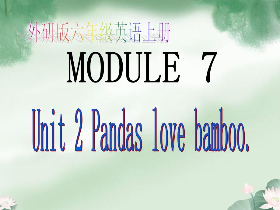 【外研版】英语上册--六年级上册Module7Unit2-Pandas-love-bamboo课件_第1页