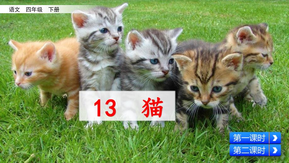 四年级语文下册13猫课件设计2课时(新部编版)_第1页