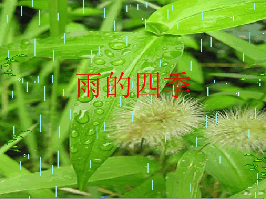 《雨的四季》公开课ppt课件_第1页