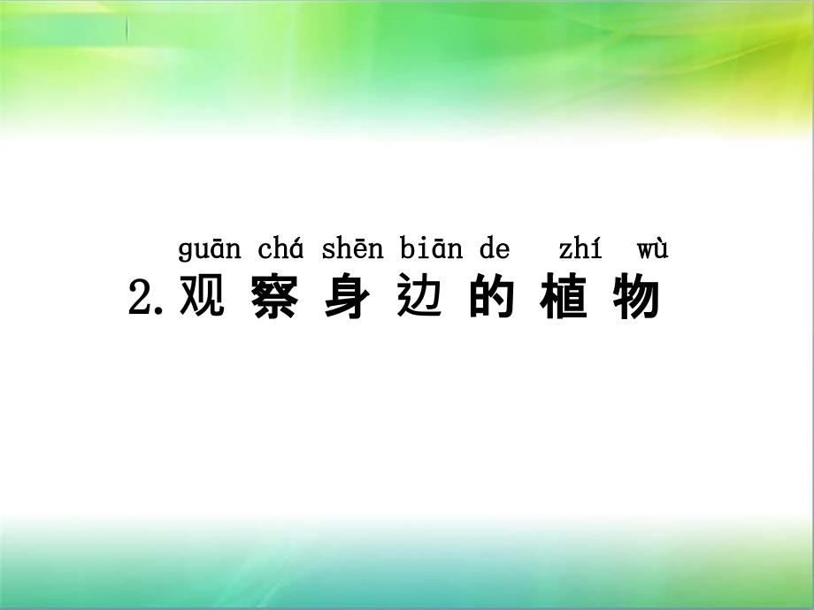 湘教版一年级下册科学4.2观察身边的植物课件_第1页