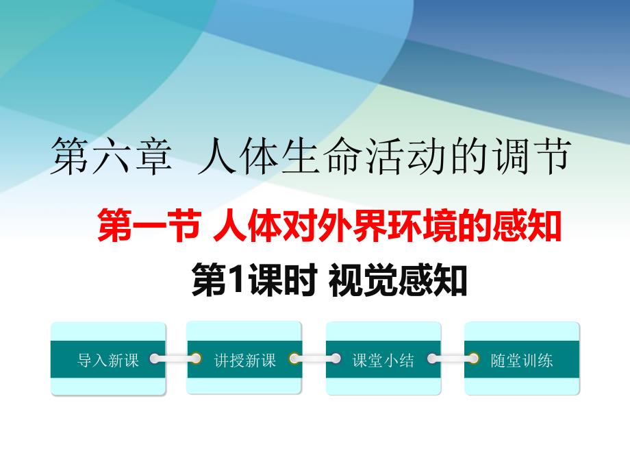 人教版初一生物下册《视觉感知》ppt课件_第1页