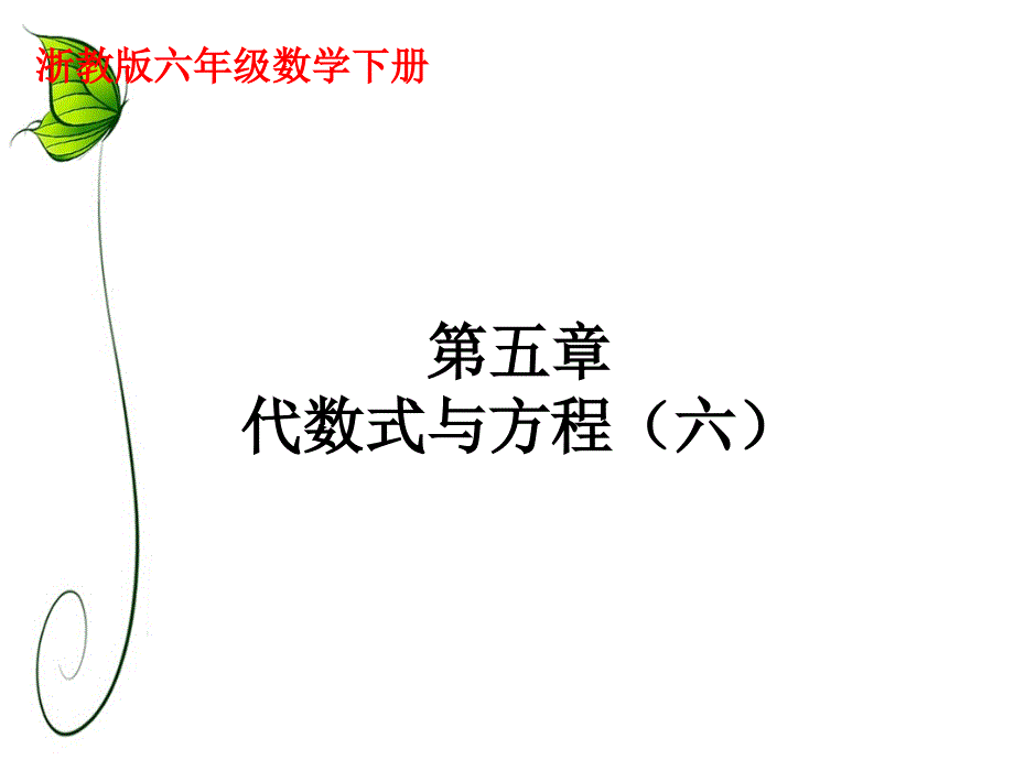 《代数式与方程》ppt课件2-优质公开课-浙教6下_第1页