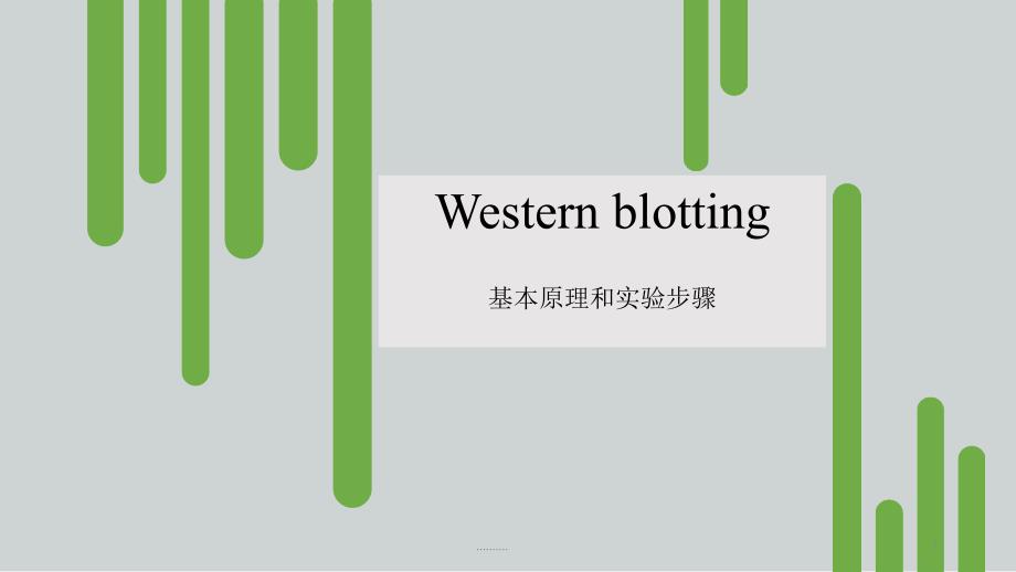 回顾Western-blot-实验原理和实验步骤课件_第1页