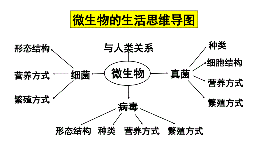 八年级生物-《微生物的生活》课件_第1页