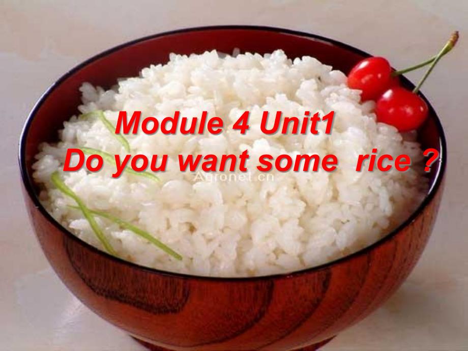 【外研版】--四年级英语上册-ppt课件Do-you-want-some-rice_第1页