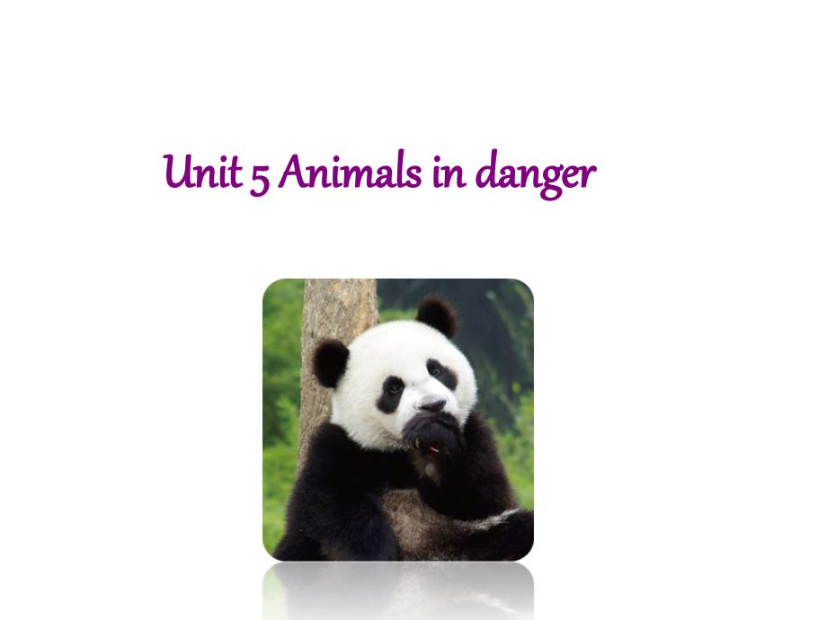 六年级英语上册Unit5Animalsindangerppt课件牛津上海版_第1页