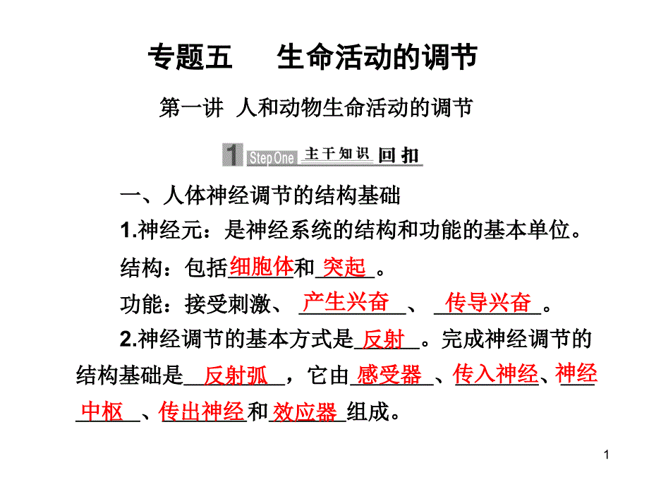 二轮复习ppt课件：人和动物生命活动的调节_第1页