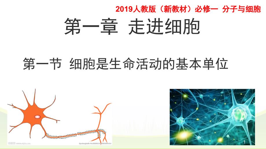 细胞是生命活动的基本单位ppt课件新教材人教版高中生物必修一_第1页