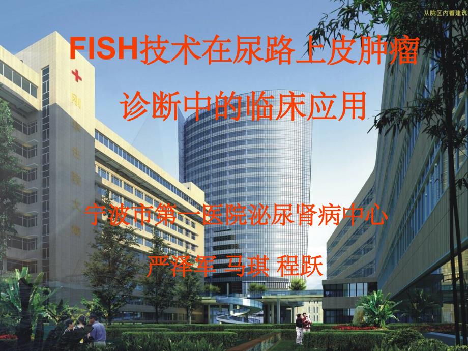 FISH技术在尿路上皮肿瘤诊断中的临床应课件_第1页