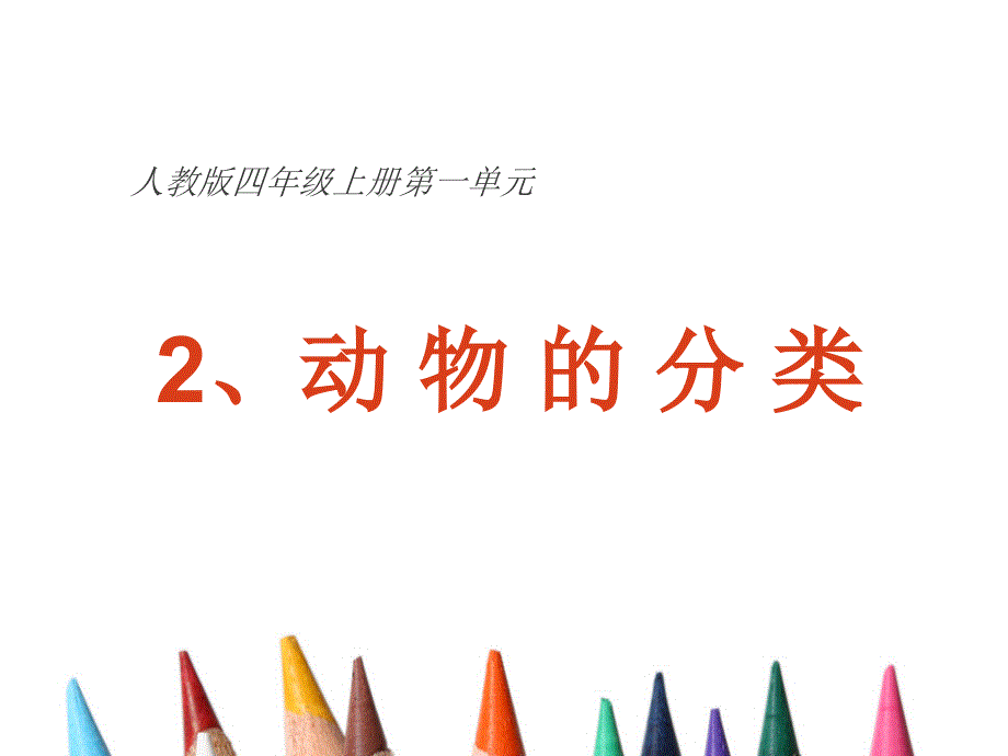 四年级上册科学1.2动物的分类教学ppt课件_第1页