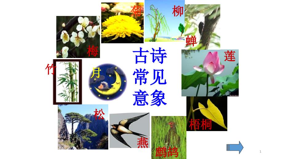 高中语文《唐宋诗第五课紫蝶黄蜂俱有情——咏物抒怀蝉》课件-一等奖名师公开课比赛_第1页