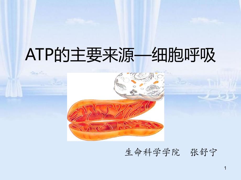 《ATP的主要来源――细胞呼吸》说课ppt课件_第1页