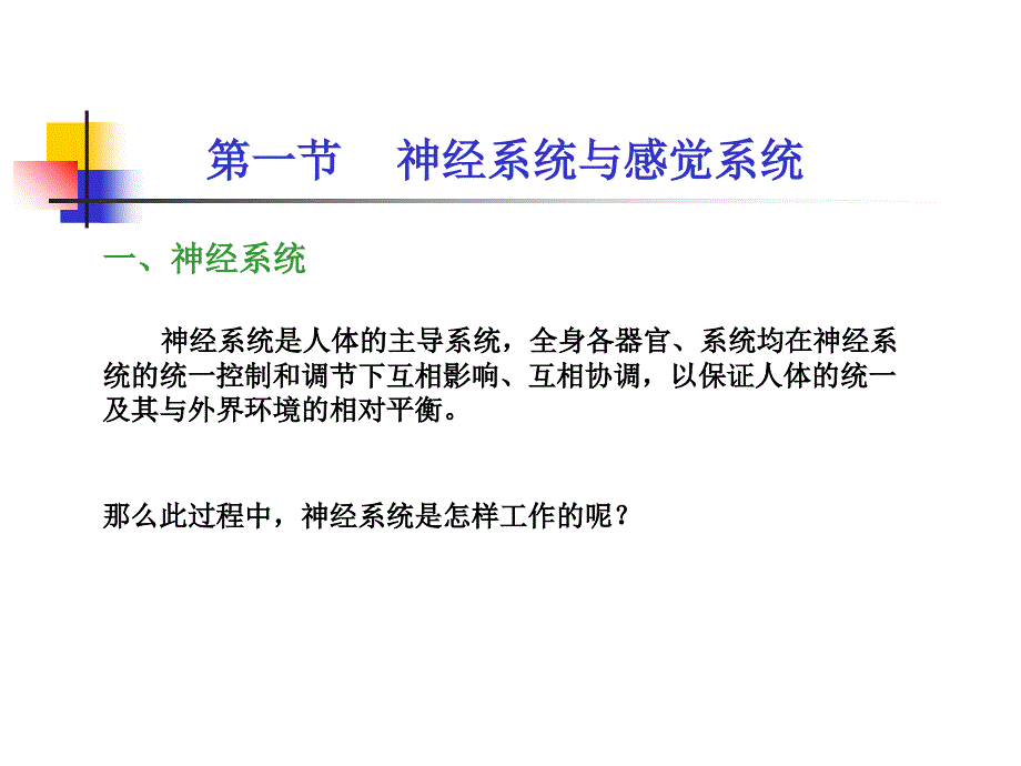 神经系统和感觉系统课件_第1页