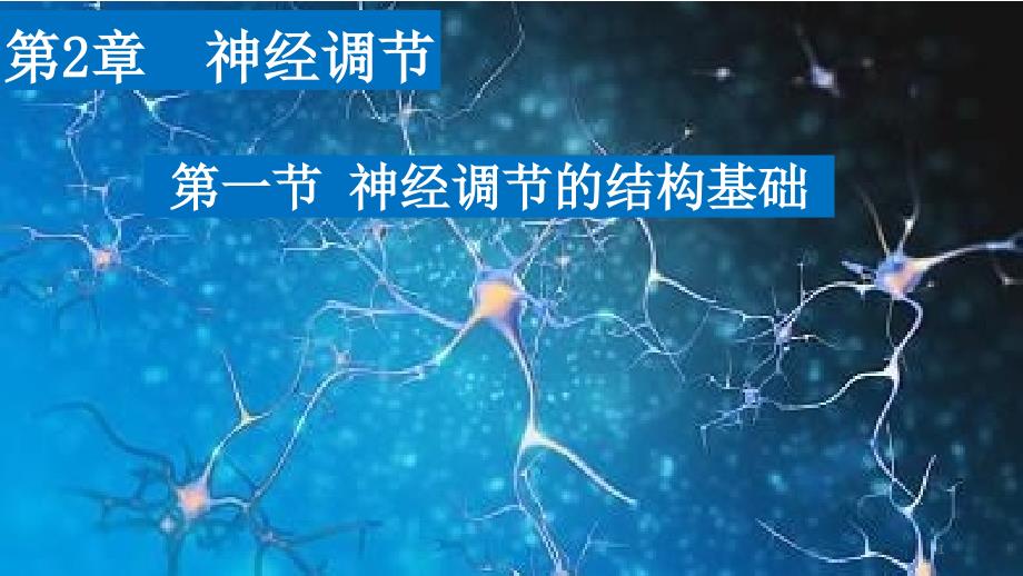 人教版高中生物《神经调节的结构基础》教学ppt课件_第1页