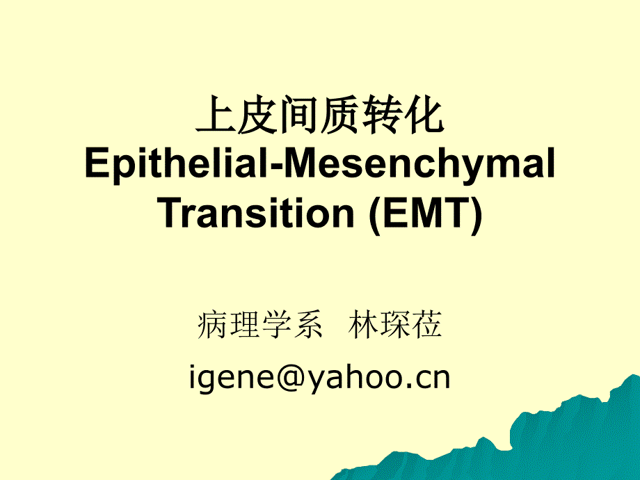 EMT上皮间质转化-课件_第1页