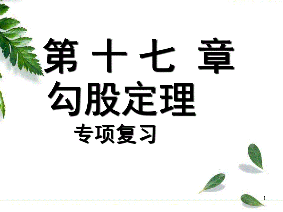 人教版八年级下册第17单勾股定理专项复习ppt课件_第1页