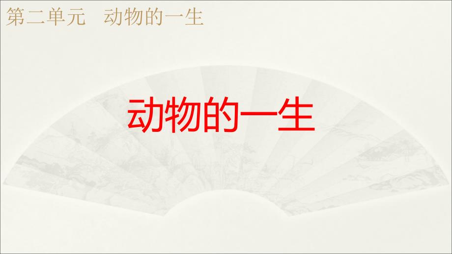 2020教科版小学科学三年级下册《动物的一生》ppt课件_第1页