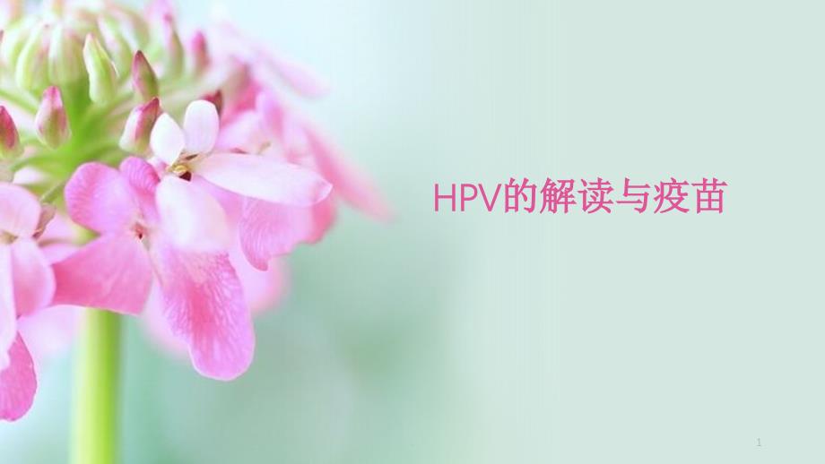 HPV的解读与疫苗课件_第1页