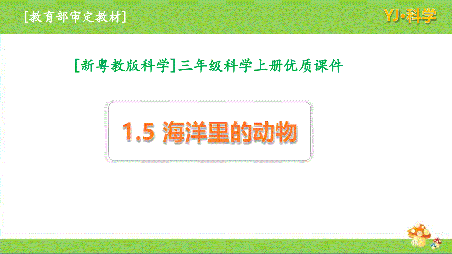 粤教版科学三年级上1.5《海洋里的动物》优质ppt课件_第1页