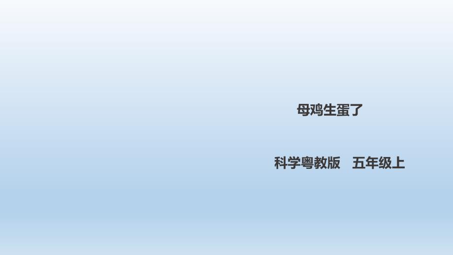 五年級(jí)上冊(cè)科學(xué)《母雞生蛋了》粵教版課件_第1頁(yè)