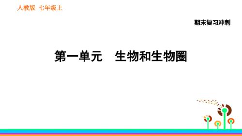 人教版生物7年級(jí)上冊(cè)期末專(zhuān)項(xiàng)復(fù)習(xí)沖刺ppt課件