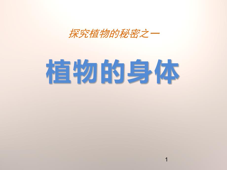 湘教版科学四上1.1《植物的身体》课件_第1页