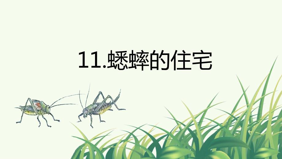 人教部编版四年级语文上册《(教学ppt课件)11.蟋蟀的住宅》【2020新】_第1页