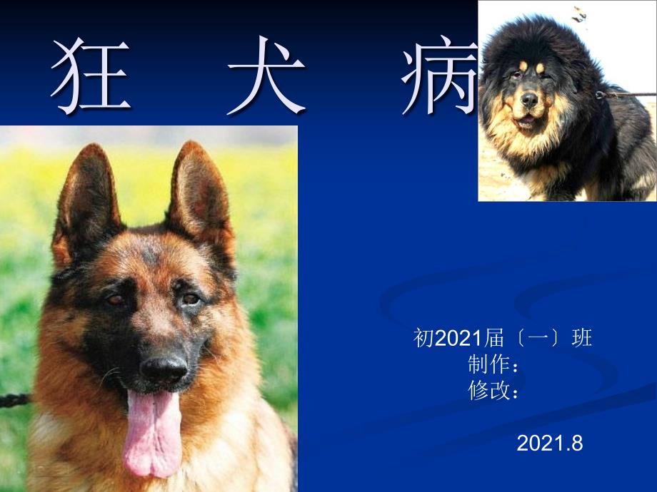 狂犬病课件_第1页