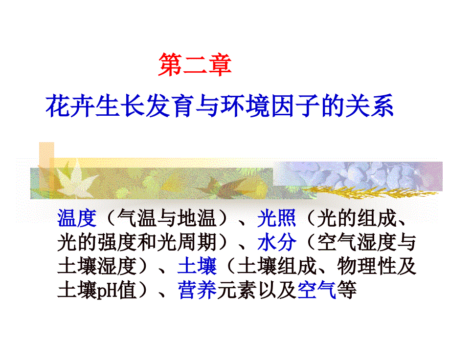 花卉生长发育与环境的关系案例_第1页