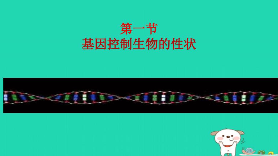 新人教版八年级生物下册基因控制生物的性状课件_第1页