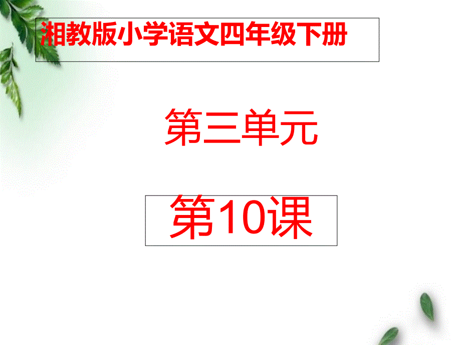 湘教版小学语文四年级下册《父母心》公开课ppt课件_第1页